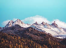 星空官网-华体会官网：用官方的力量点亮每一场体育热情